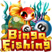 Bingo Fishing big bunny apk app