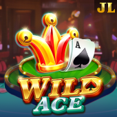 Wild Ace big bunny apk app casino